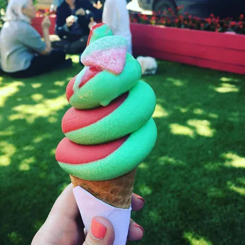 [I ate] watermelon ice cream