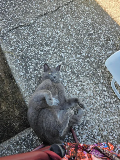 People are the worst