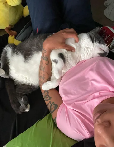 Does my cat know my mom passed?