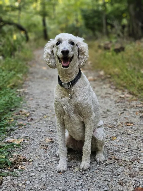 This is Cheetoh. She wanted me to share this photo because she loves attention. 
