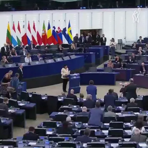 Standing ovation after the speech of the President of Georgia in European Parliament