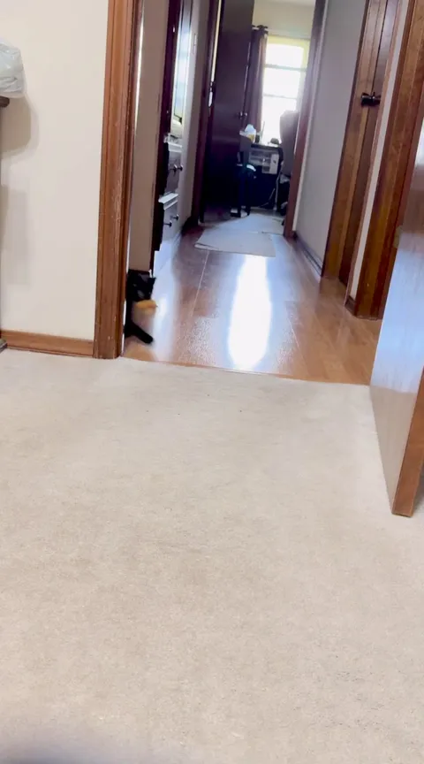 My boyfriend doesn't want a dog. 