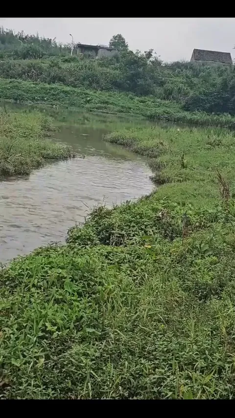 A calm water surface