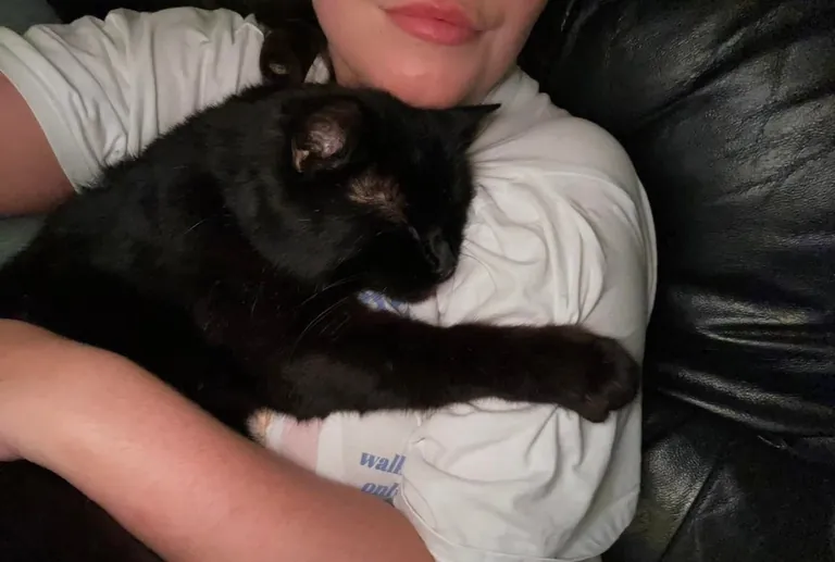 my darling boy of 18 years lost today. I love you