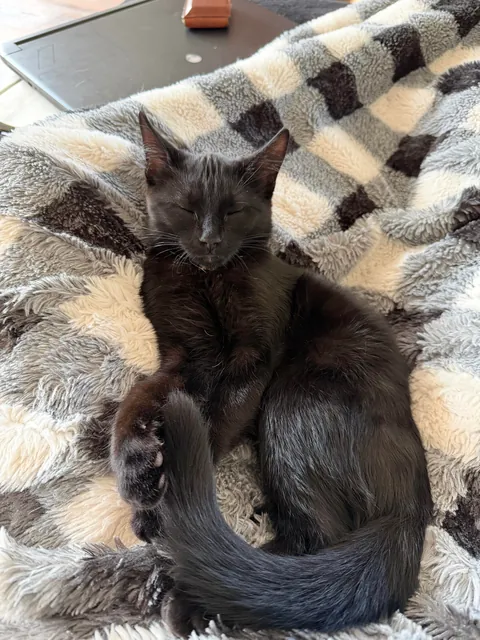 My precious little void