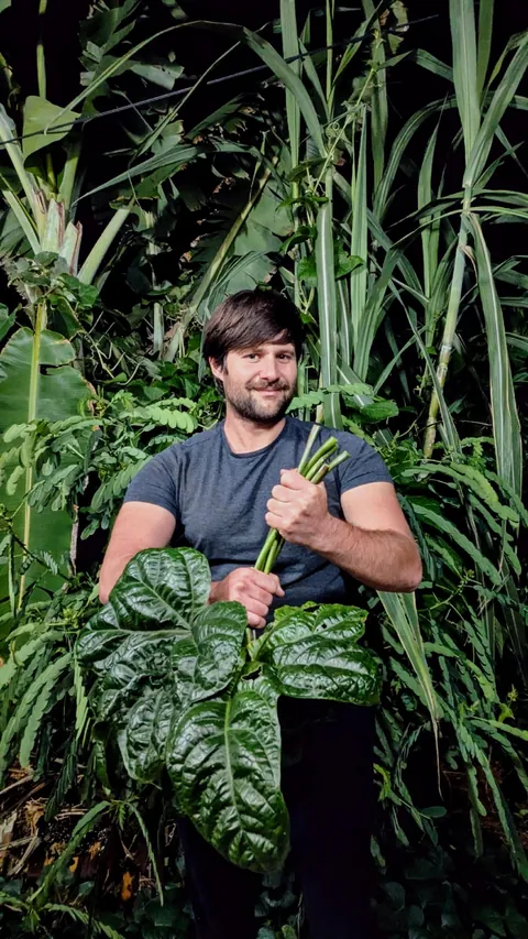 Grew Tongan spinach for the first time this year. I'm now convinced it's one of the best veggies to grow in a warm climate.