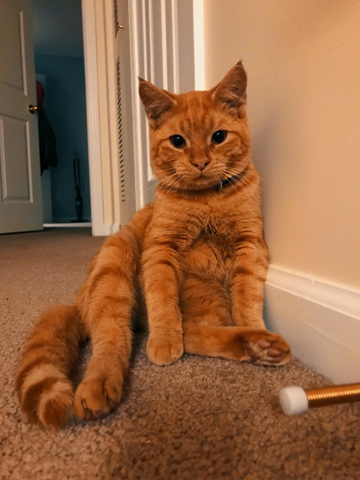 My baby when I first got him