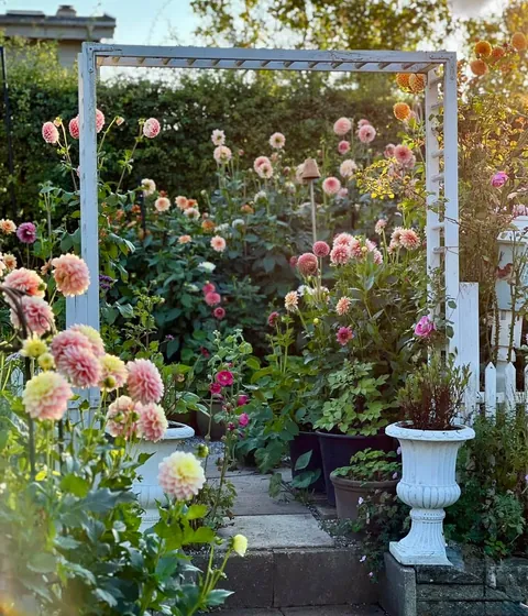 My Fall Garden 💚🌸🧚🍃🍁