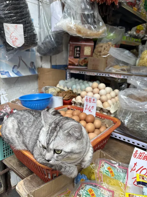 Spotted this egg protector in Hong Kong.