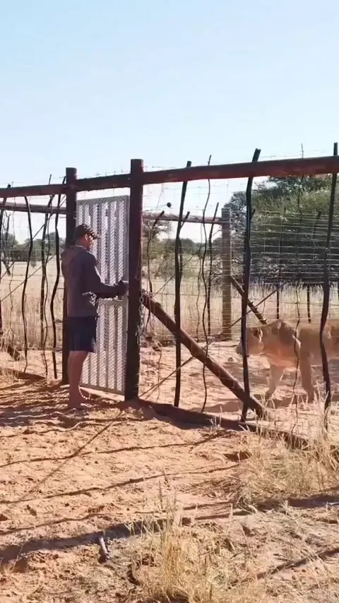 Would you open the door after watching?