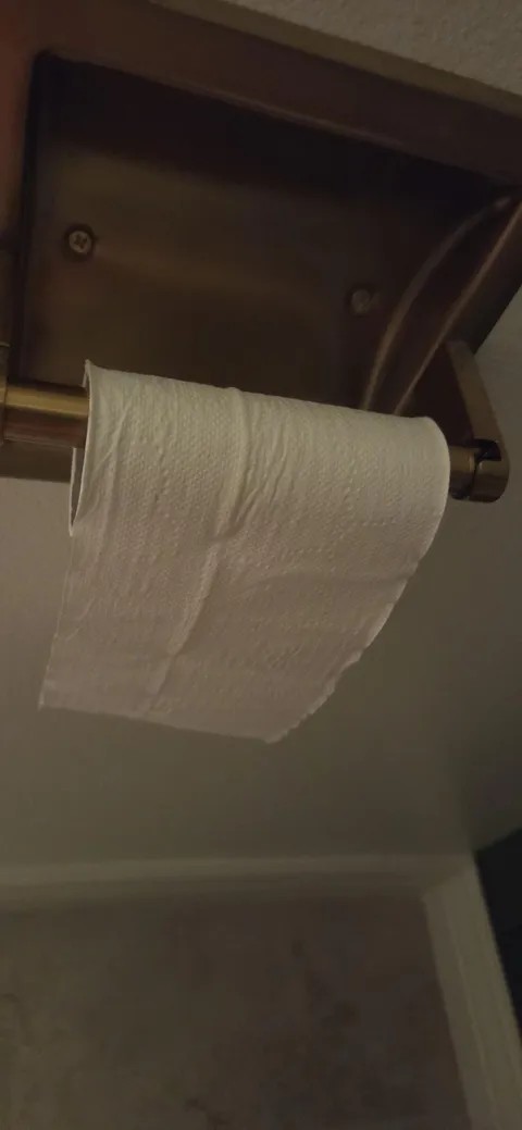 I just woke up with diarrhea at 3 am and this is how much toilet paper I have. Wish me luck