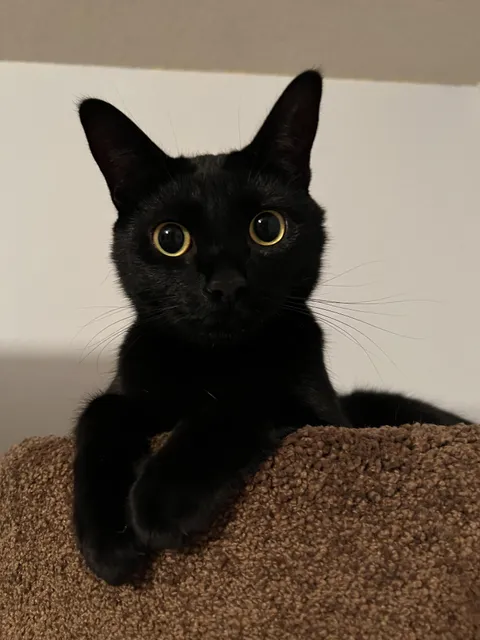 Don’t let her sweet face fool you, she is spicy!