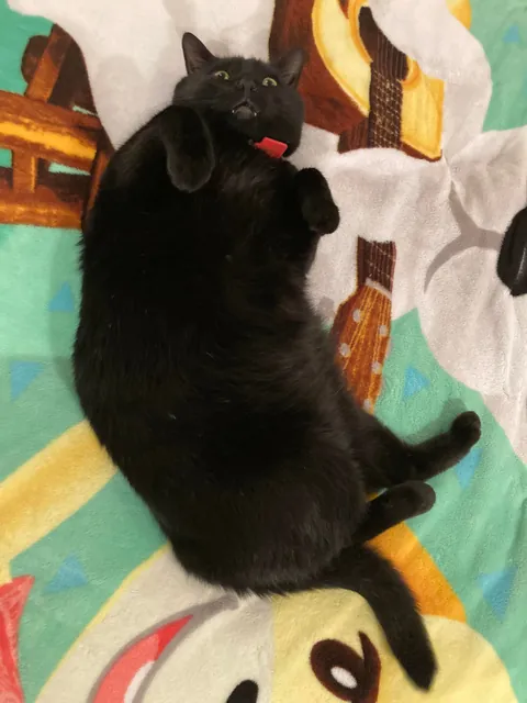 It’s taken me a while to make this post, but here is my sweet man Benjamin <3