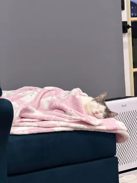 Do not disturb. I am booked and busy.😴