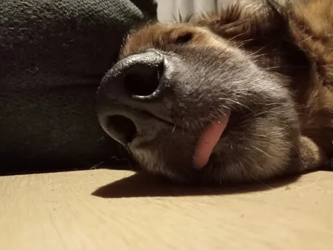 My girl Mandy (Mlemdy)