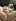 It's a beautiful day to show you my nudes