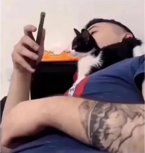 Scrolling reels is very hard working stuff 😂