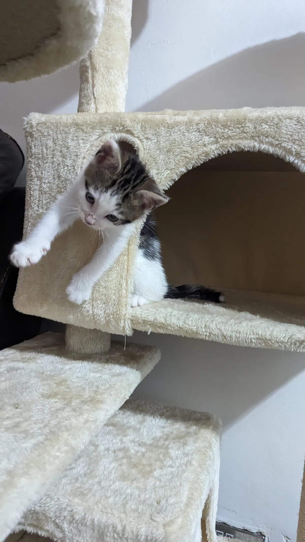 Unfortunately he's no longer this small