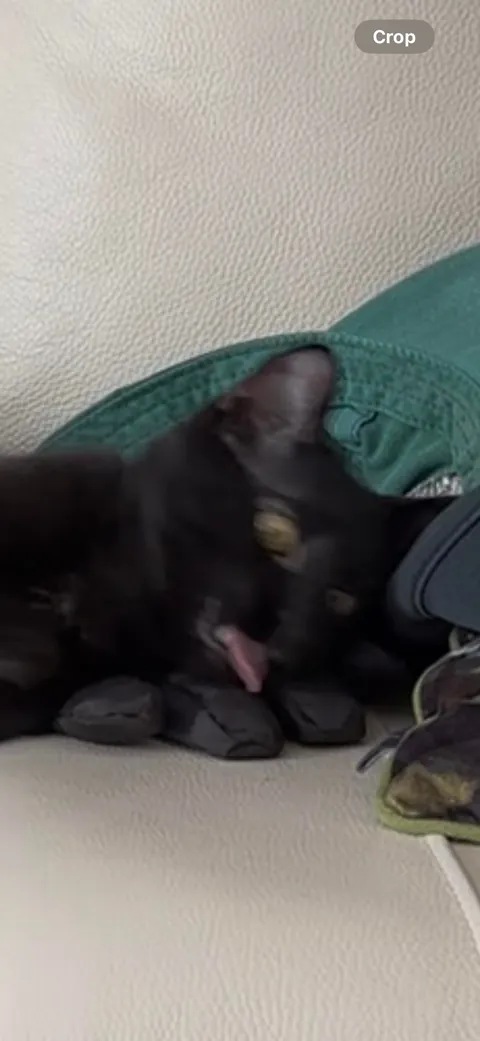 anyone else have an expressive void?