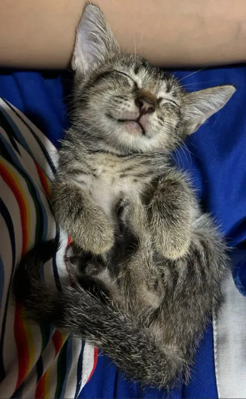 So scared to move. Might wake this baby 🥹💕💕