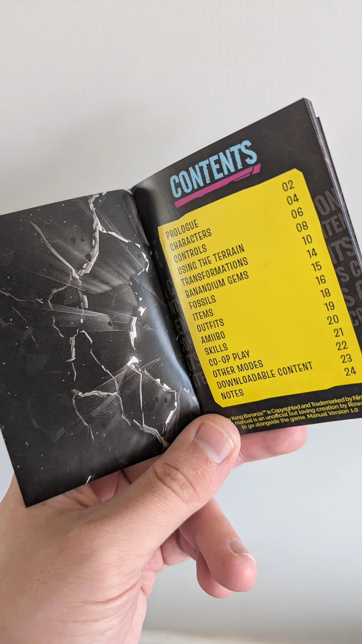 Custom Donkey Kong Bananza Manual