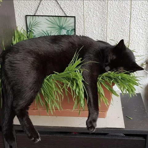 Took this photo of my baby 6 years ago