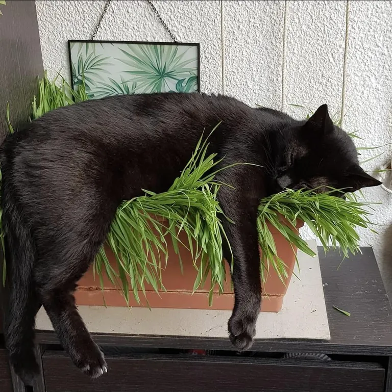 Took this photo of my baby 6 years ago