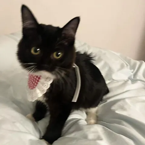 He’s only been in my life for 2 weeks but I already can’t imagine a day without him ❤️