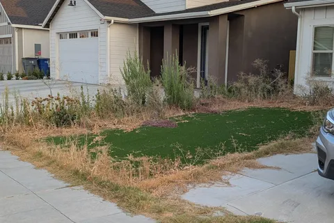 [OC] My neighbor's "perfect, maintenance-free" artificial lawn.