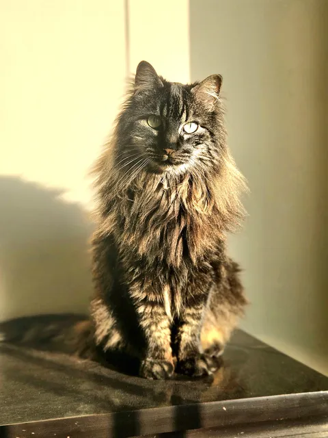 Took a nice photo of my handsome boy 