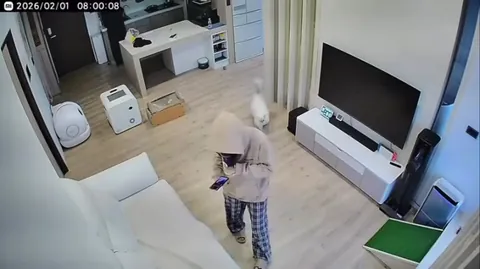 Cats orbiting his human like a tiny fluffy satellite