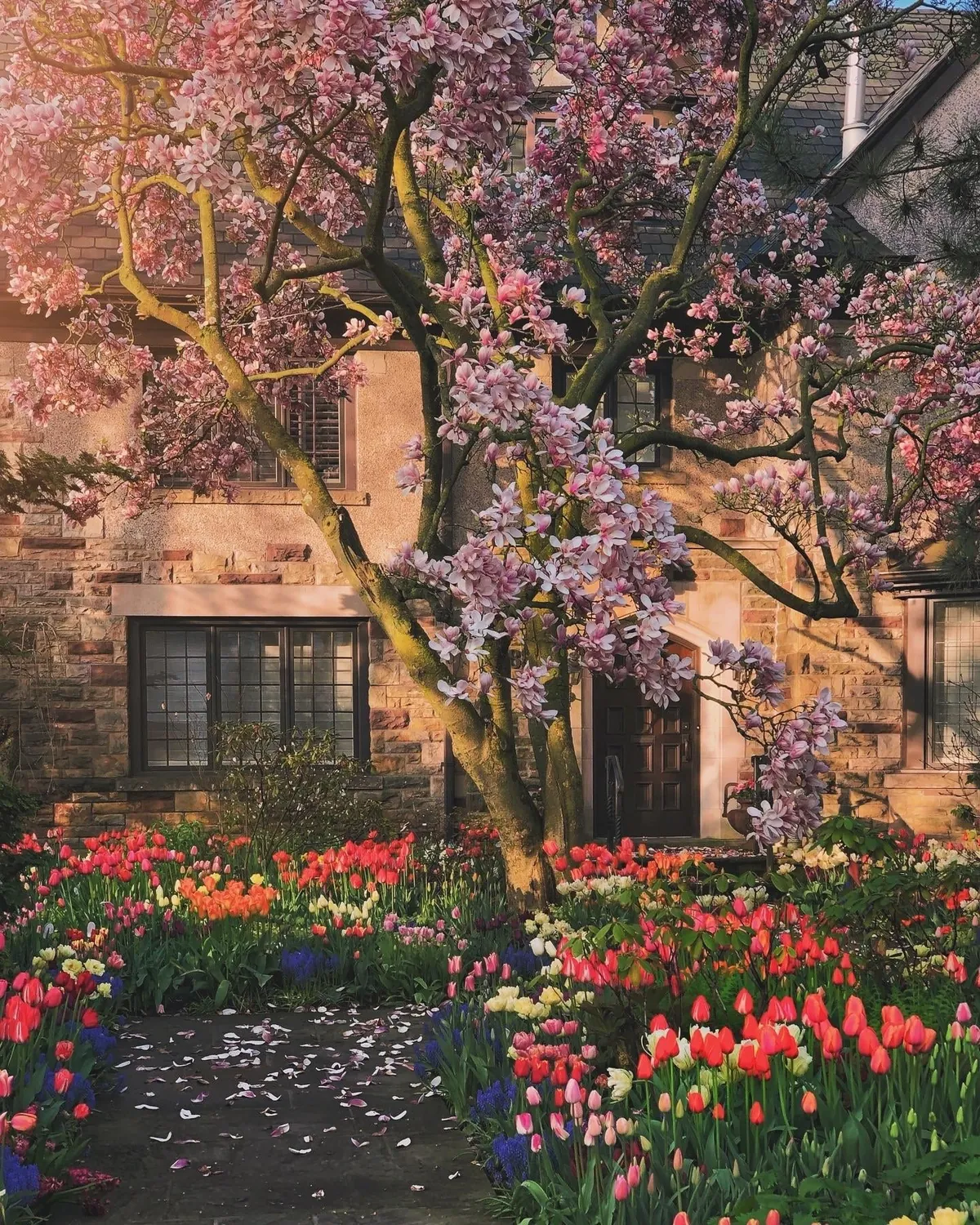 Most beautiful garden in my neighbourhood