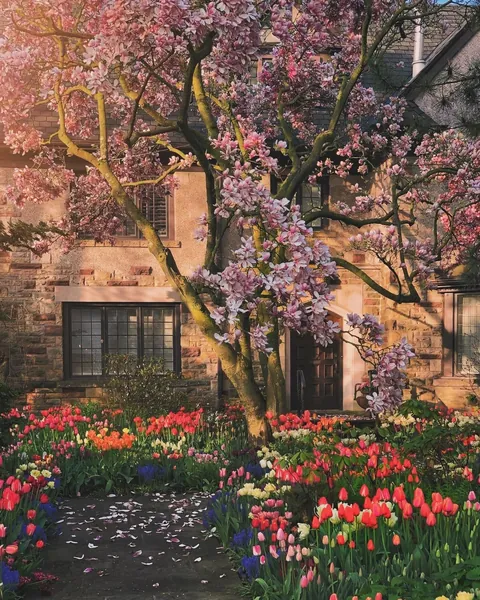 Most beautiful garden in my neighbourhood