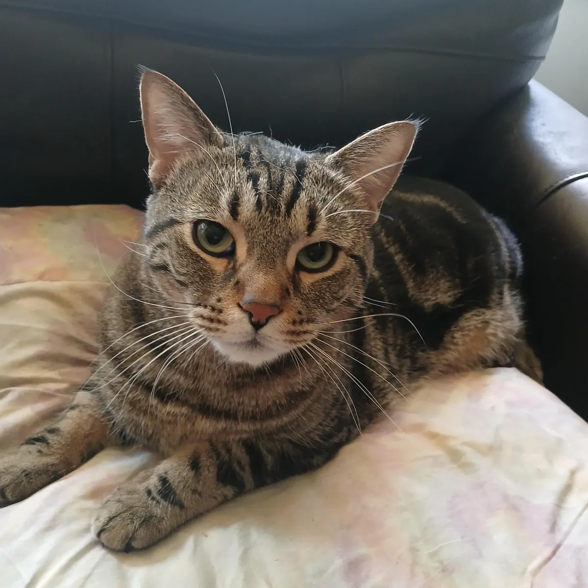 Someone's been an extra good boy lately