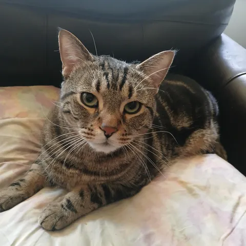 Someone's been an extra good boy lately