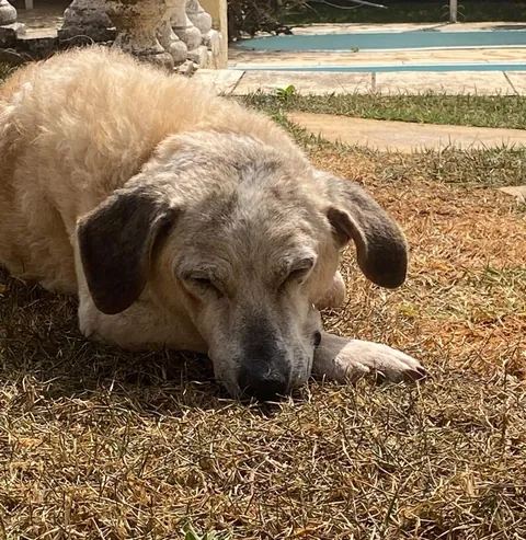 No matter how many years pass. You are still my baby, I will always take care of you ❤️