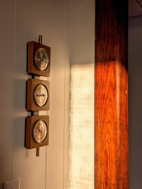 My front room in the morning light