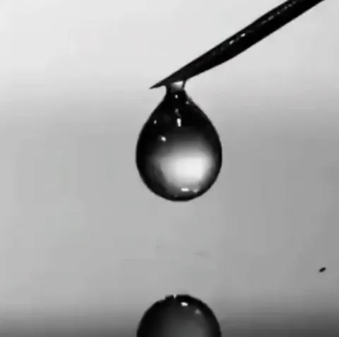 Phenomenon that occurs when a water droplet falls into water, known as a coalescence cascade.