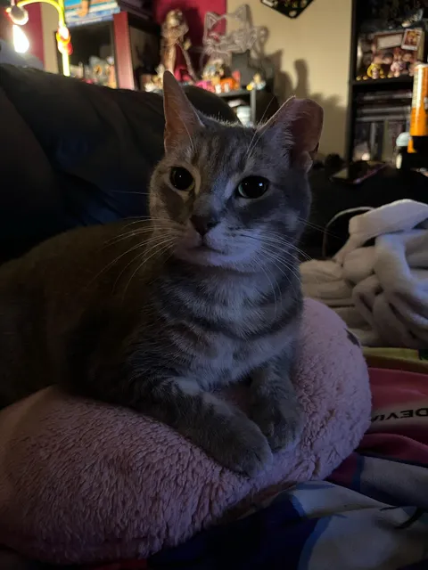 Please look at her I'm crying