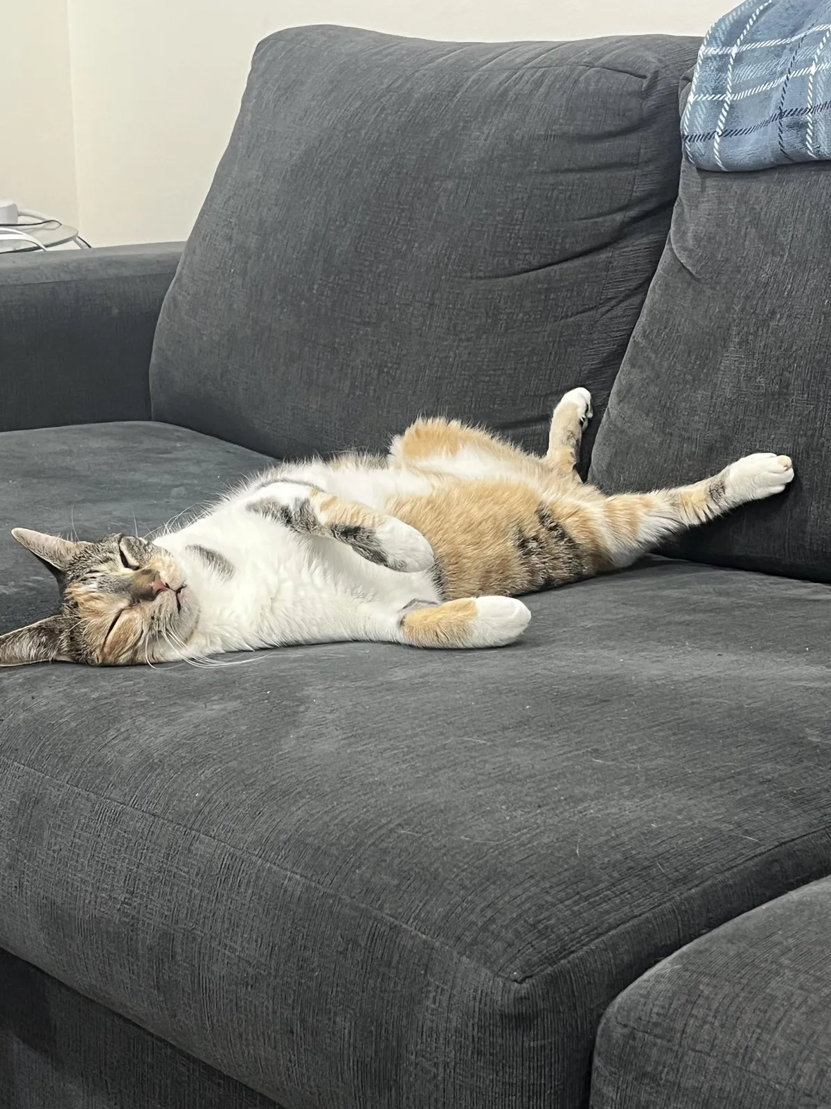 She had a looooooong day of doing nothing