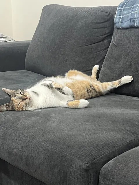 She had a looooooong day of doing nothing