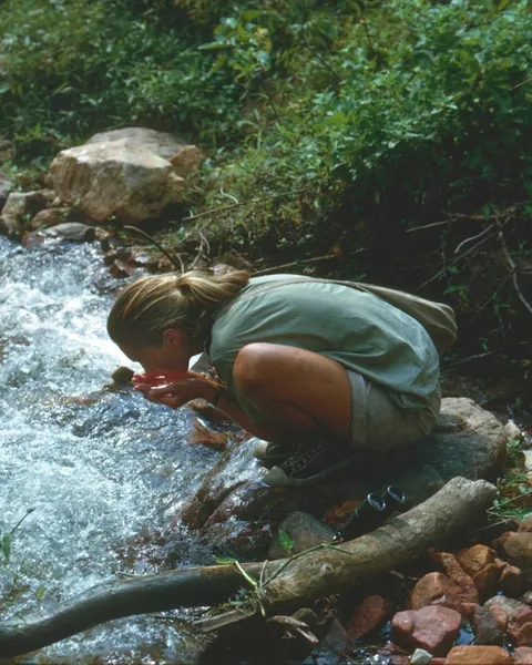 Dr. Jane Goodall in Gombe,Tanzania, during the early days of her trailblazing chimpanzee research, 1962.