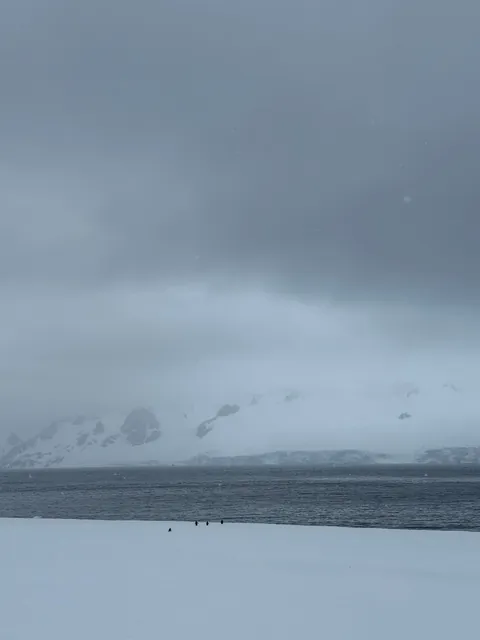 Otherworldly photos from recent trip to Antarctica!