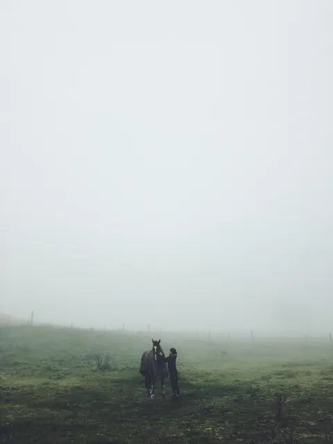 ITAP of my SO getting her horse ready