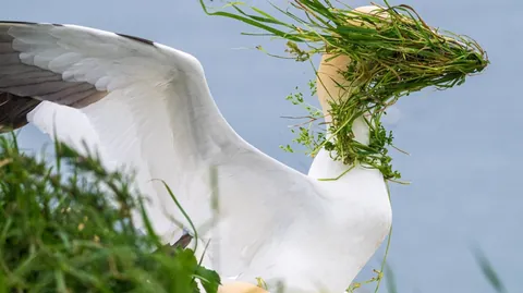 🔥 19 images from the Comedy Wildlife People's Choice Awards