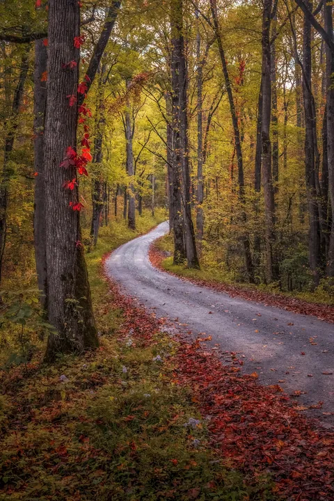 ITAP of an autumn road