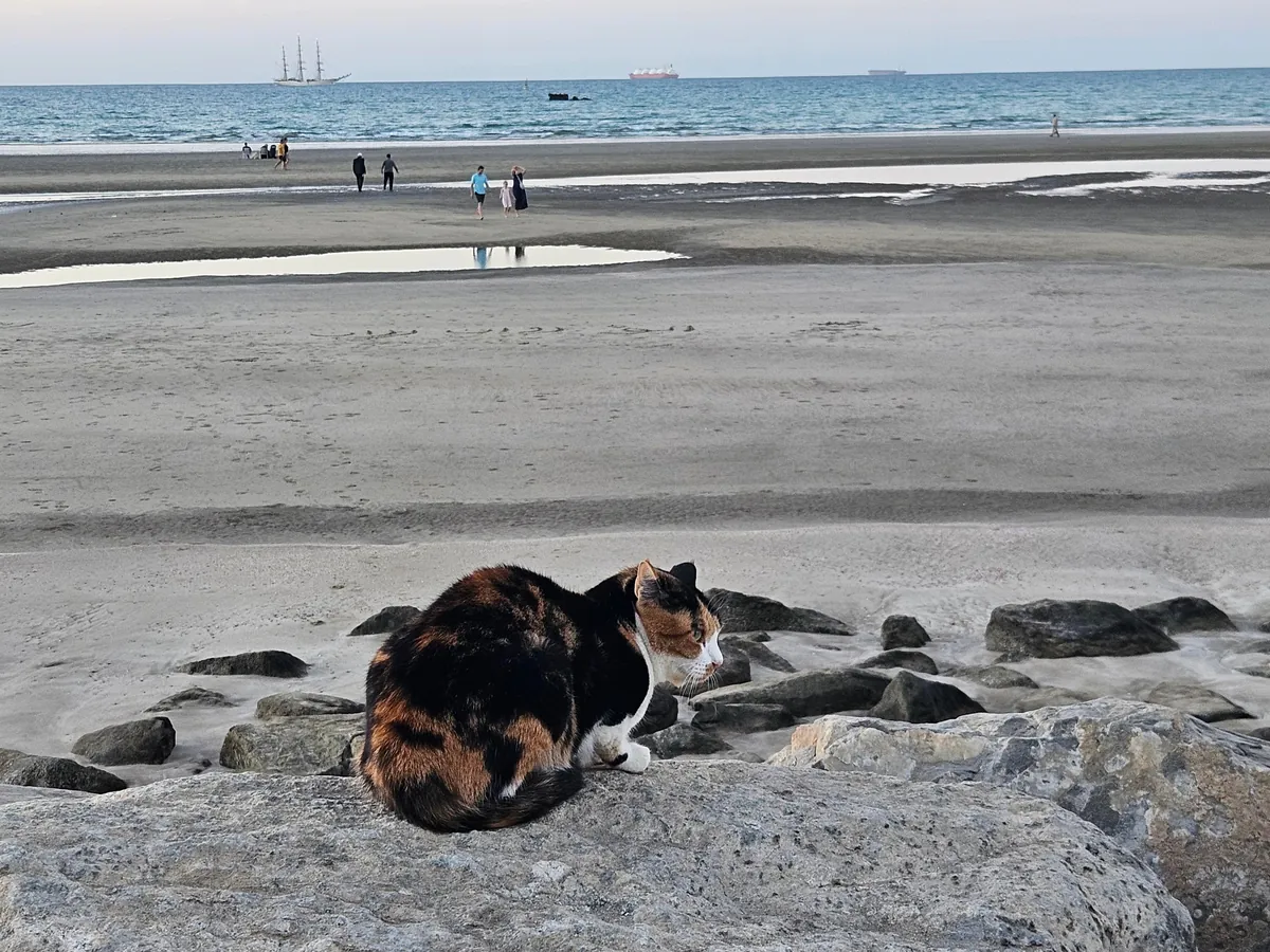 A charming week in Oman