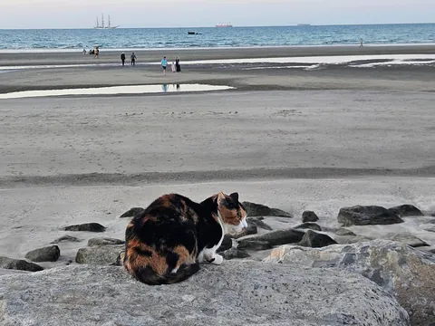 A charming week in Oman