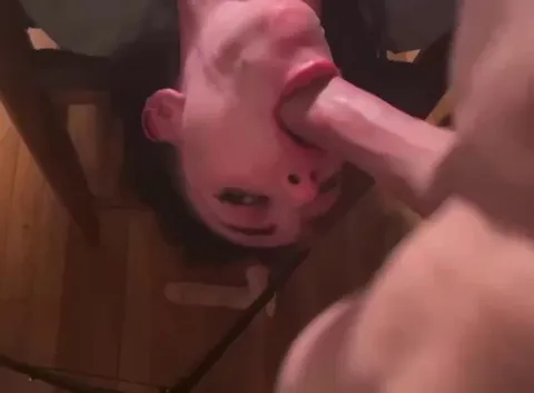 Amateur GIF by taylor__zahn