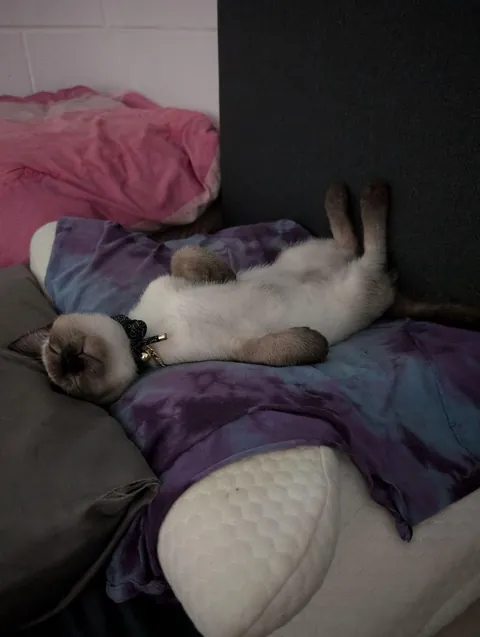 He was left in the toaster a little too long.